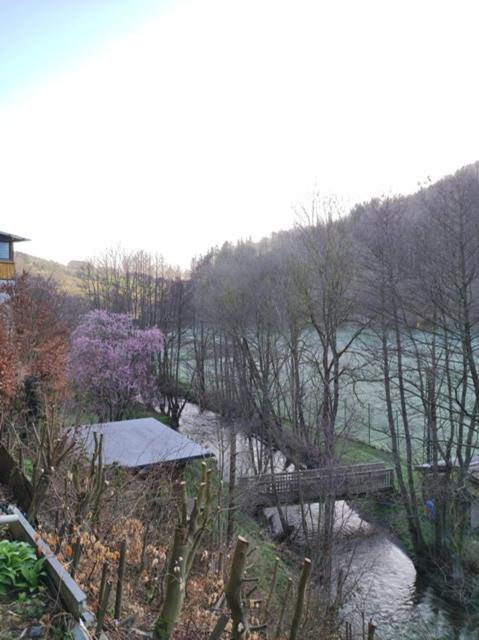 Ferienwohnung Lange Брилон Экстерьер фото